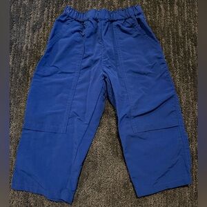 Patagonia Baggies Pants